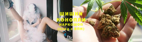 спайс Лагань