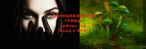 спиды Ладушкин