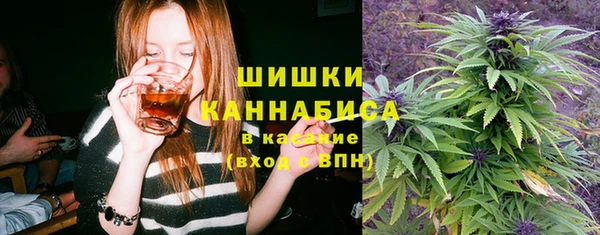 крисы Куйбышев
