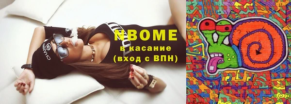 молекула духа Лабытнанги