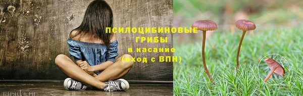 спиды Ладушкин